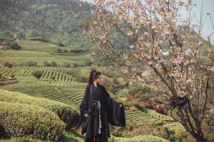 YiTuYu Art Language Vol.5830: Elegant Portrait Series Featuring Dang Chu Jiao Ren Jia Xiao Tian Tian - image 14