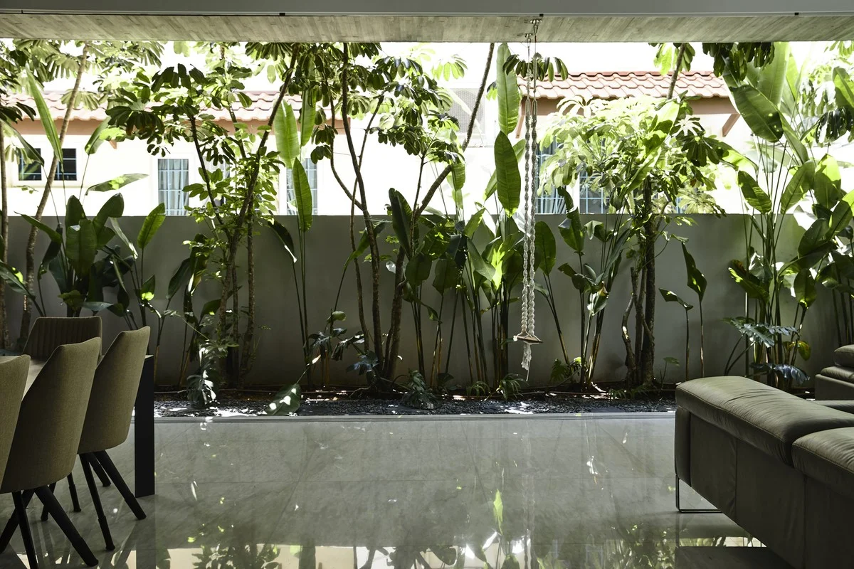 Inside the Stunning Biophilic Home with an Indoor Tropical Forest