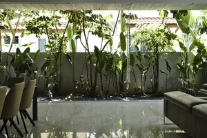 Inside the Stunning Biophilic Home with an Indoor Tropical Forest - image 0
