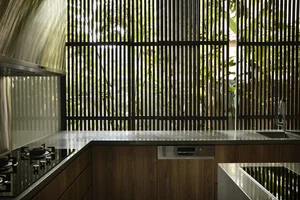 Inside the Stunning Biophilic Home with an Indoor Tropical Forest - image 4