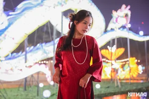 Stunning 70m Giant Lantern Leaves Japanese Visitors in Awe of Vietnamese Creativity - image 12