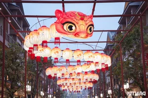 Stunning 70m Giant Lantern Leaves Japanese Visitors in Awe of Vietnamese Creativity - image 5