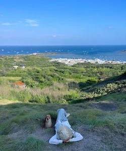 Maximizing Your Phu Quy Island Experience: Tours vs Independent Exploration - image 2