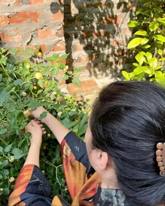Inside the 1,000-Square-Meter Estate of Thanh Thanh Hien - image 4
