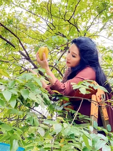 Inside the 1,000-Square-Meter Estate of Thanh Thanh Hien - image 5