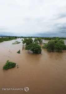 Documenting the Aftermath: Historic Floods and Record Rainfall Devastate South Korea - image 3