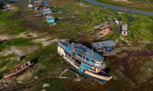 The Power of Nature 2024: A Visual Journey of Strength and Beauty - image 4