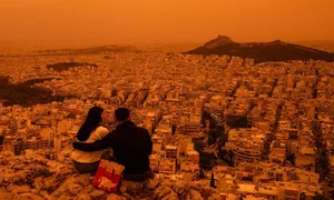 The Power of Nature 2024: A Visual Journey of Strength and Beauty - image 3