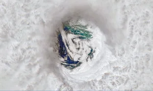 The Power of Nature 2024: A Visual Journey of Strength and Beauty - image 2