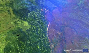 The Power of Nature 2024: A Visual Journey of Strength and Beauty - image 5