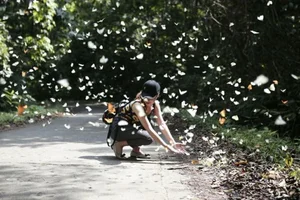 Essential Travel Advice for Visiting Cuc Phuong National Park - image 5