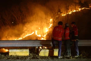 The Aftermath: Devastating Forest Fires Sweep Through South Korea - image 9