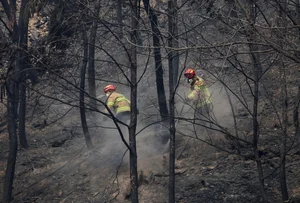The Aftermath: Devastating Forest Fires Sweep Through South Korea - image 4
