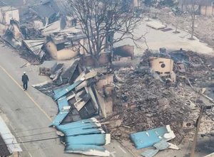 The Aftermath: Devastating Forest Fires Sweep Through South Korea - image 1