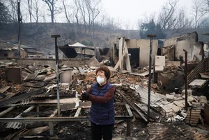 The Aftermath: Devastating Forest Fires Sweep Through South Korea - image 6