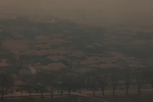 The Aftermath: Devastating Forest Fires Sweep Through South Korea - image 7
