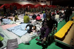 The Aftermath: Devastating Forest Fires Sweep Through South Korea - image 5