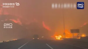 The Aftermath: Devastating Forest Fires Sweep Through South Korea - image 2