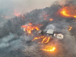 The Aftermath: Devastating Forest Fires Sweep Through South Korea - image 8