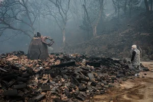 The Aftermath: Devastating Forest Fires Sweep Through South Korea - image 3