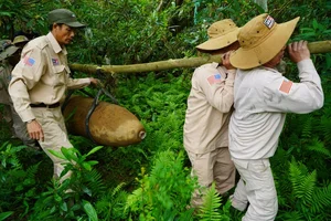 Unwelcome Discovery: Dangerous Wartime UXO Reappears in Quang Binh Forests - image 1