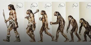 7-Million-Year-Old Femur Bone Discovery Rewrites Human Evolution History - image 0
