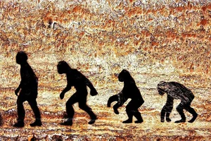 7-Million-Year-Old Femur Bone Discovery Rewrites Human Evolution History - image 6