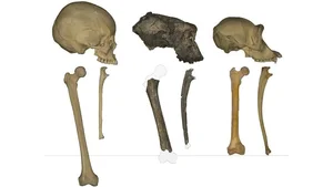 7-Million-Year-Old Femur Bone Discovery Rewrites Human Evolution History - image 9