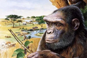 7-Million-Year-Old Femur Bone Discovery Rewrites Human Evolution History - image 8