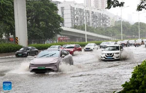 Visualizing the Impact: Typhoon Wipha Strikes Southern China - image 4