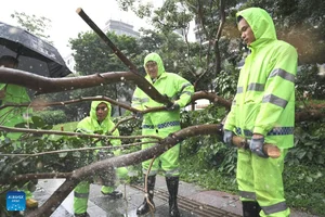 Visualizing the Impact: Typhoon Wipha Strikes Southern China - image 8