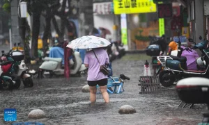Visualizing the Impact: Typhoon Wipha Strikes Southern China - image 5