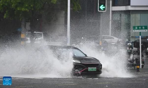 Visualizing the Impact: Typhoon Wipha Strikes Southern China - image 3