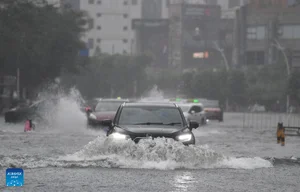 Visualizing the Impact: Typhoon Wipha Strikes Southern China - image 6