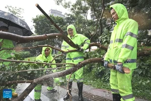Visualizing the Impact: Typhoon Wipha Strikes Southern China - image 1