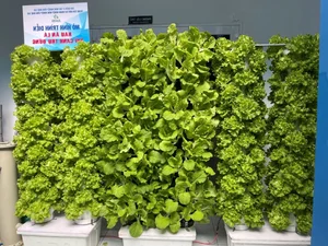 High-Tech Agricultural Models Ready for Global Transfer - image 7