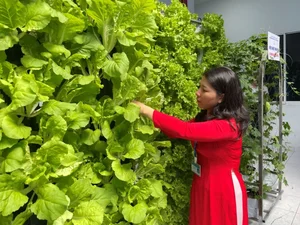 High-Tech Agricultural Models Ready for Global Transfer - image 1
