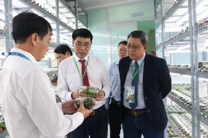 High-Tech Agricultural Models Ready for Global Transfer - image 5