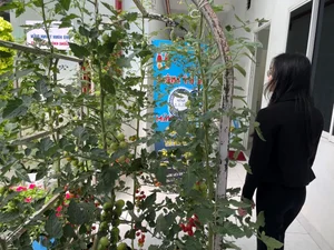 High-Tech Agricultural Models Ready for Global Transfer - image 4