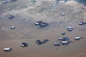 The Amazon River Drying Up: A Close-Up of a Record Drought - image 6
