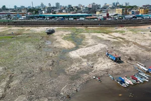 The Amazon River Drying Up: A Close-Up of a Record Drought - image 5