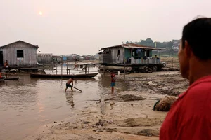 The Amazon River Drying Up: A Close-Up of a Record Drought - image 10