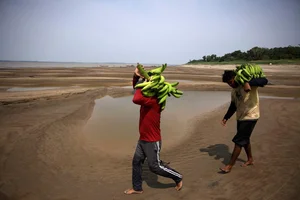 The Amazon River Drying Up: A Close-Up of a Record Drought - image 3