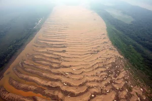 The Amazon River Drying Up: A Close-Up of a Record Drought - image 9