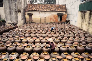 The Art of Tuong Ban: Vietnam’s Traditional Fermented Soybean Sauce from Yen Nhan Village - image 12