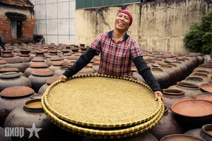 The Art of Tuong Ban: Vietnam’s Traditional Fermented Soybean Sauce from Yen Nhan Village - image 11
