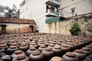 The Art of Tuong Ban: Vietnam’s Traditional Fermented Soybean Sauce from Yen Nhan Village - image 19
