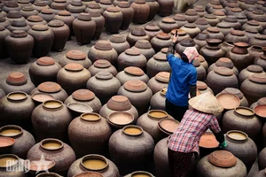 The Art of Tuong Ban: Vietnam’s Traditional Fermented Soybean Sauce from Yen Nhan Village - image 8