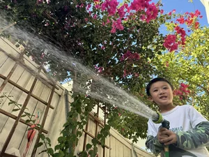 A Glimpse Into the Serene Garden of Late Singer Phi Nhung's US Home - image 4