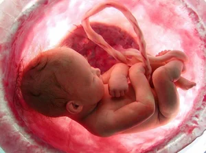 The Future of Medicine: World’s First Surrogacy Robot Expected in 2026 - image 10